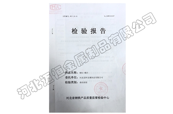 檢驗(yàn)報(bào)告 (1)
